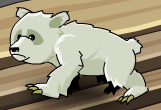 Polar Bear.PNG