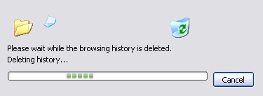 Ie deleting history in progress.jpg