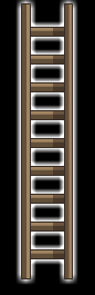 Wooden Ladder.png