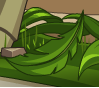 Palm Plant Frond.png