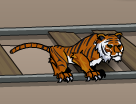 Forest Tiger.PNG