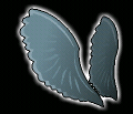 Gray Feathered Wings.PNG