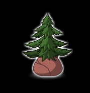 Potted Pine.jpg