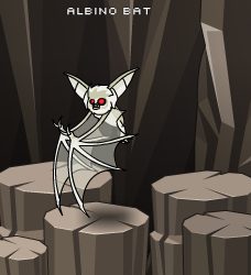 Albino-bat.png