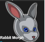 Year of the Rabbit Morph.png