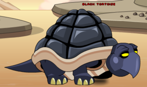 Black Tortoise.png
