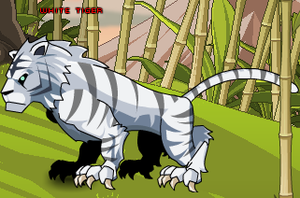 White Tiger (Monster).png